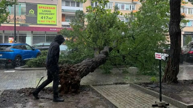 Uszkodzeniu uległy cztery samochody osobowe - mówi kpt. Bartosz Janicki, oficer prasowy Komendanta Miejskiego Państwowej Straży Pożarnej w Szczecinie.