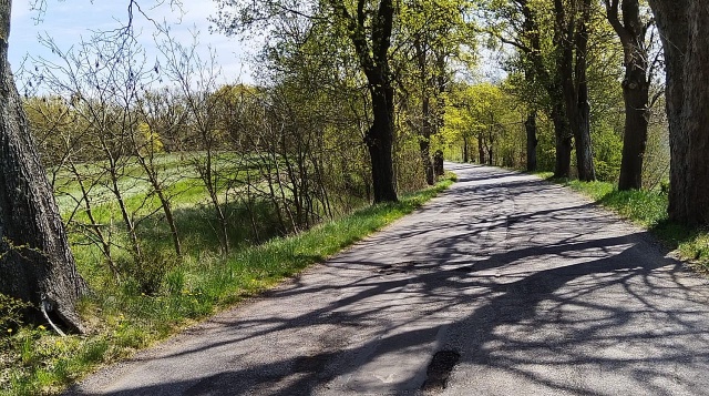 Dobra wiadomość dla kierowców z Powiatu Polickiego. Jest wykonawca modernizacji drogi między Dobrą a Stolcem.