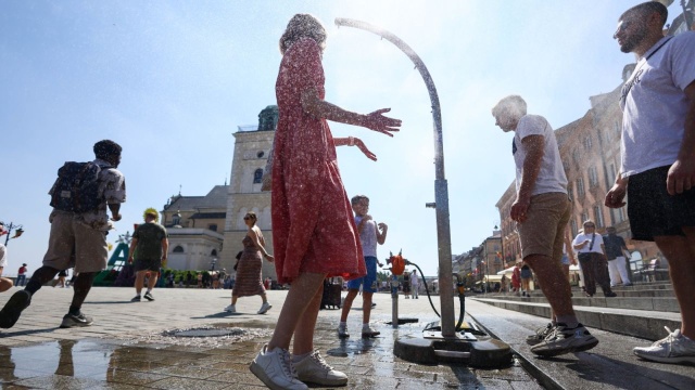 Fala upałów w Europie przyczyniła się do niespotykanej wcześniej suszy i pożarów.