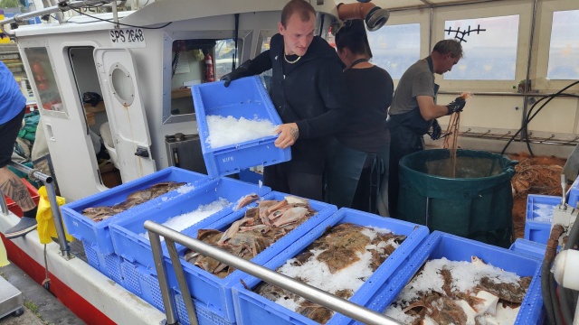 Czy nad morzem można kupić rybę prosto z kutra Jakie gatunki są najpopularniejsze wśród turystów Przemysław Polanin odwiedził port rybacki w Kołobrzegu i porozmawiał zarówno z pracującymi na morzu, jak i spacerującymi po porcie.