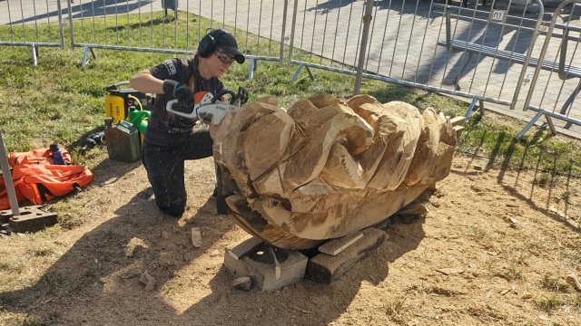 Wyjątkowa atrakcja podczas tegorocznych Żagli w Szczecinie. Na oczach przechodniów powstaje galion, czyli ozdobna rzeźba umieszczana na dziobie dawnych dużych jednostek.