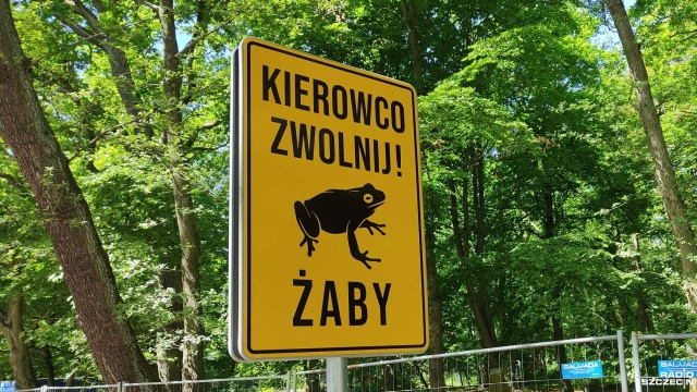 W Kołobrzegu ponownie ruszają prace w parku Antoniego Szarmacha.
