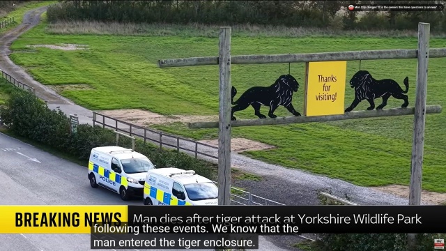 Tragiczny wypadek w brytyjskim parku zoologicznym. Mężczyzna zginął po ataku tygrysa. Do zdarzenia doszło w parku dzikich zwierząt Yorkshire Wildlife Park w pobliżu Doncaster.