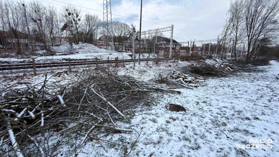 Kolejarze usuwają drzewa, mieszkańcy niezadowoleni [ZDJĘCIA]