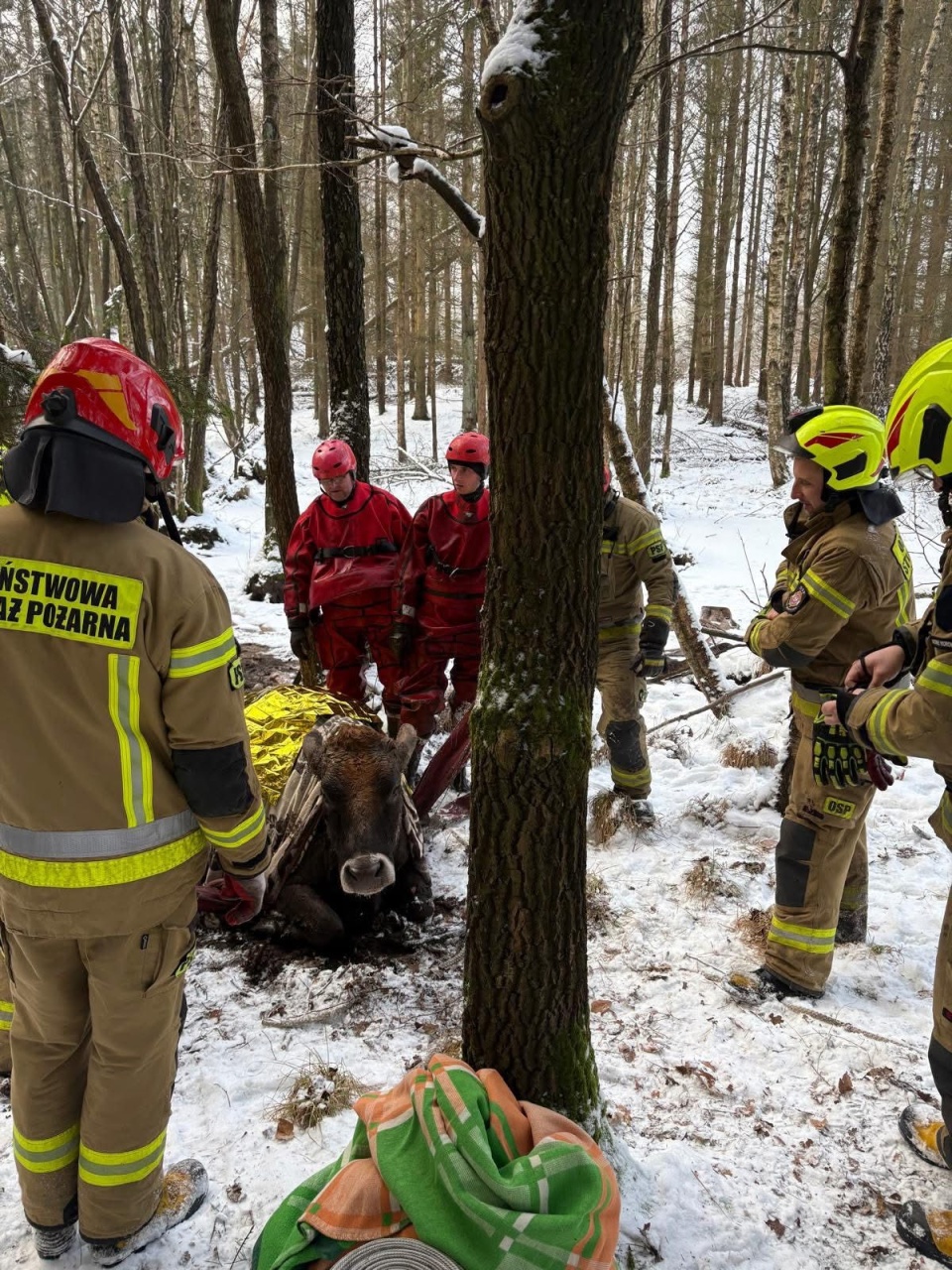 O krok od nieszczęścia - pomogli strażacy
