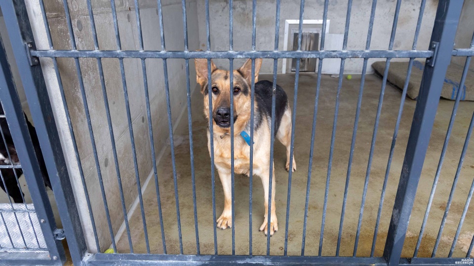 Fot. Robert Stachnik [Radio Szczecin]