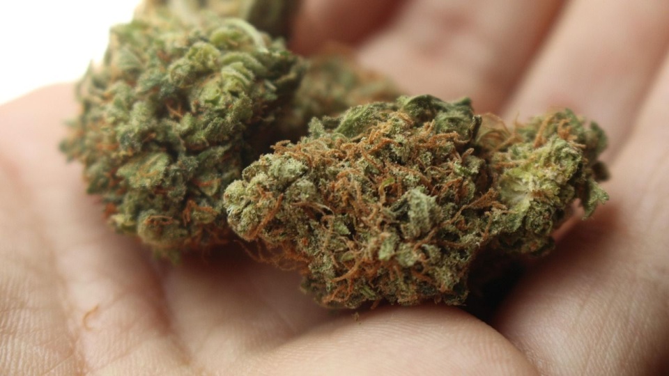 Mandat za hałas, zarzuty za narkotyki