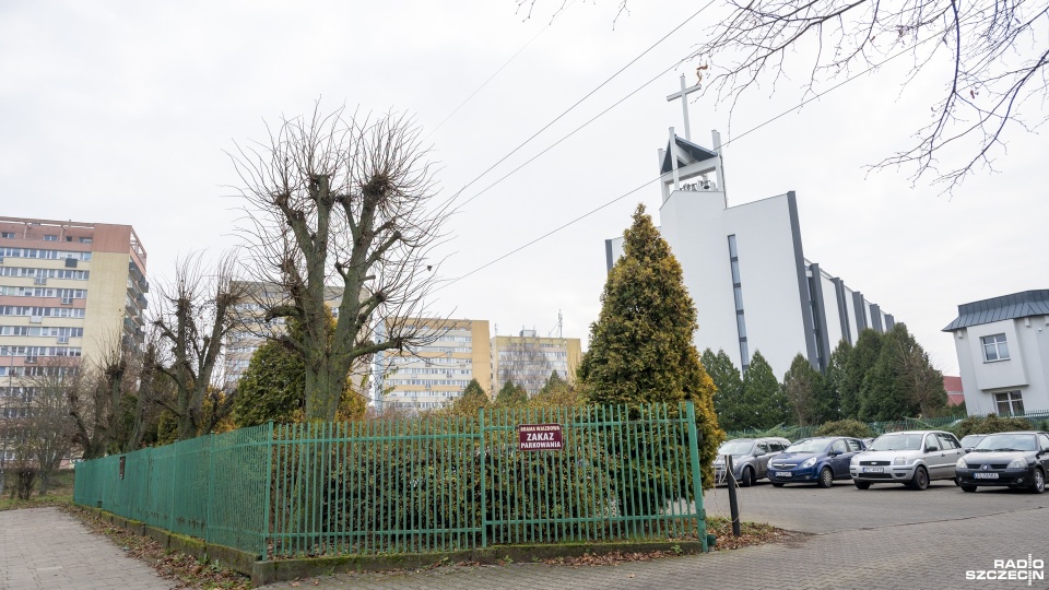 "Przycinka niezgodnie ze sztuką". Obumarłe drzewa na terenie należącym do kościoła [ZDJĘCIA]