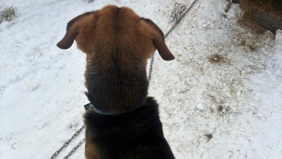 fot. https://walcz.policja.gov.pl/