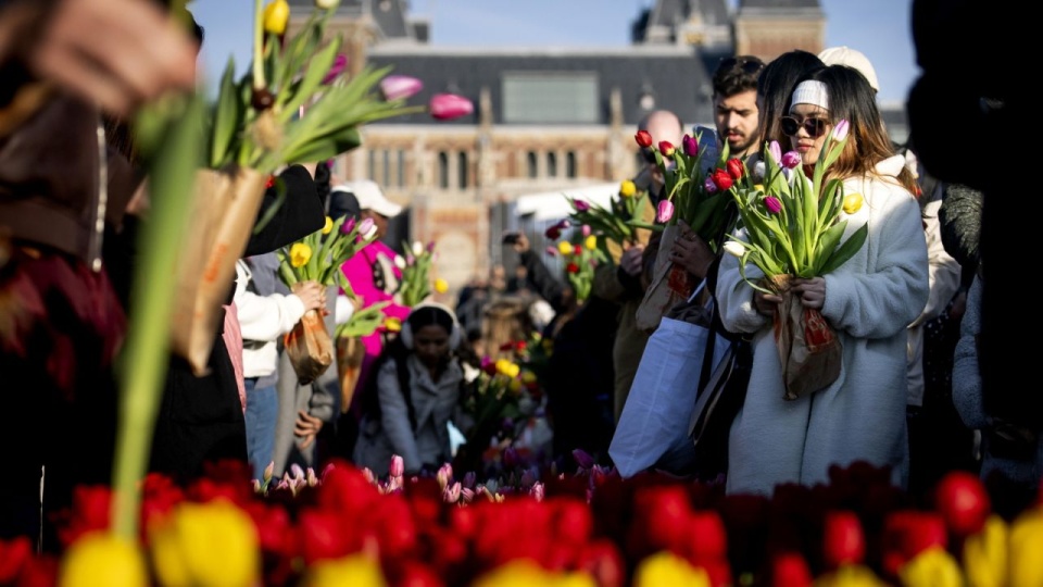 Narodowy Dzień Tulipana