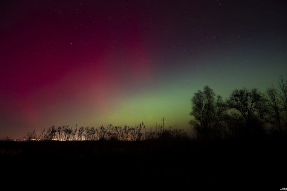 Fot. Kamila Kozioł [Radio Szczecin]