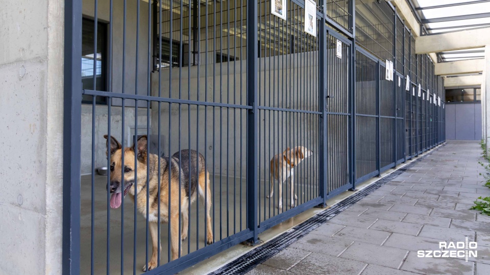 Fot. Robert Stachnik [Radio Szczecin]