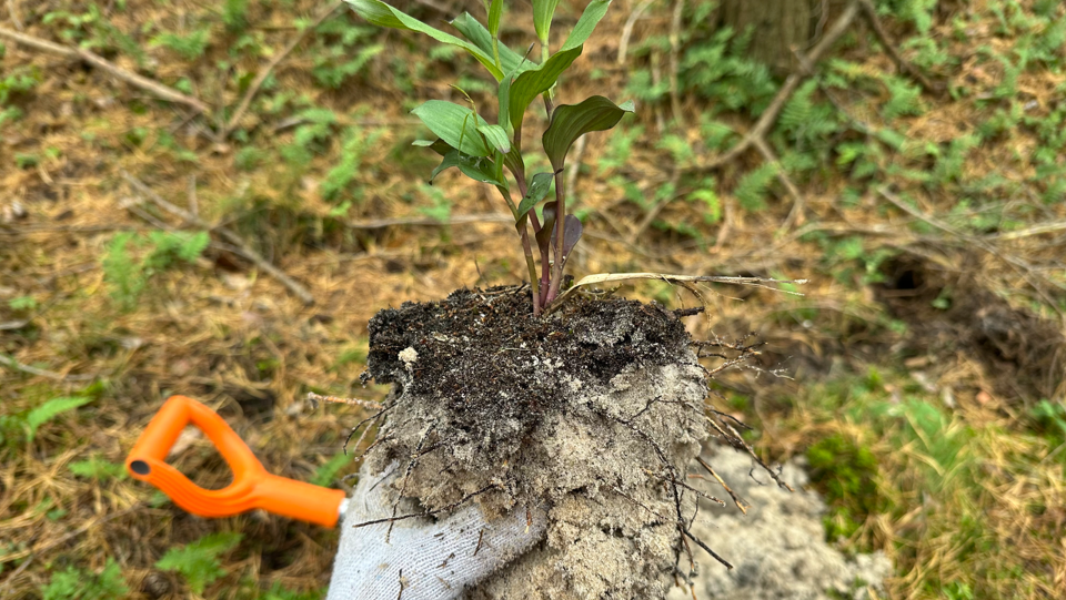 Fot. Zarząd Morskich Portów Szczecin i Świnoujście