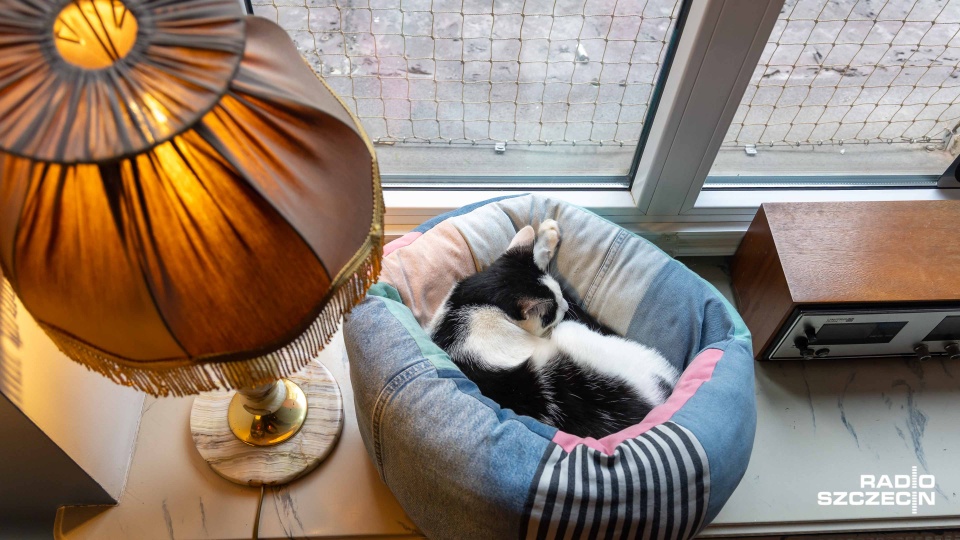 Fot. Robert Stachnik [Radio Szczecin]