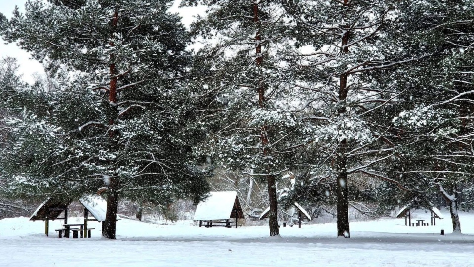 źródło: facebook.com/KampinoskiPN