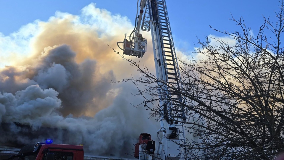Wielki pożar domków letniskowych w Pogorzelicy [WIDEO, ZDJĘCIA]