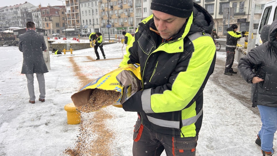 Fot. Urząd Miasta Świnoujście