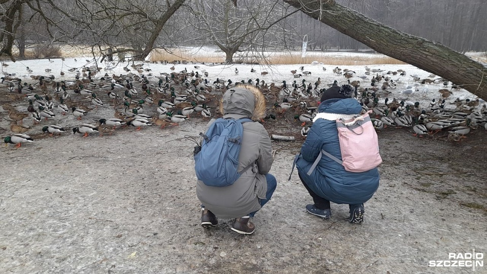 Fot. Joanna Maraszek [Radio Szczecin]