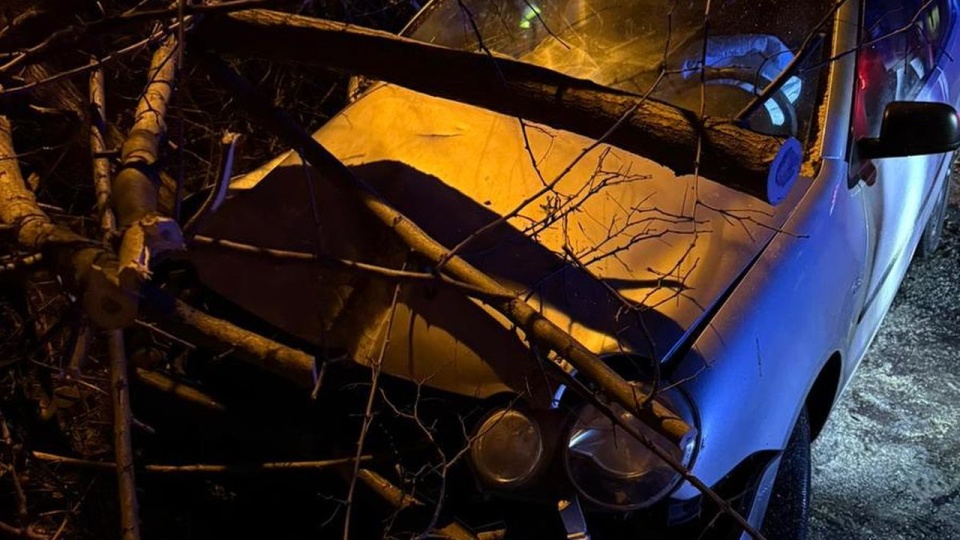 źródło: gryfino.policja.gov.pl