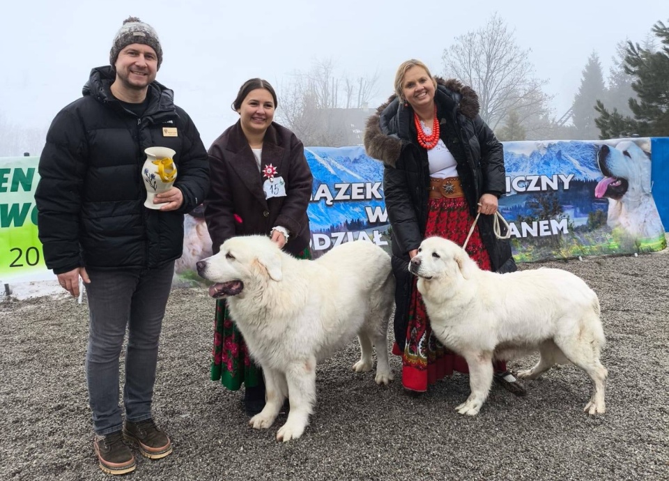 źródło: Fb - Związek Kynologiczny w Polsce Oddział Zakopane