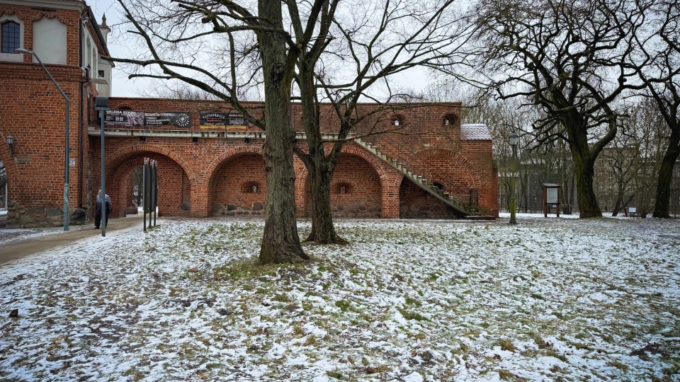 W Stargardzie będą nowe nasadzenia