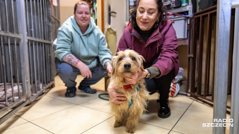 Fot. Robert Stachnik [Radio Szczecin]