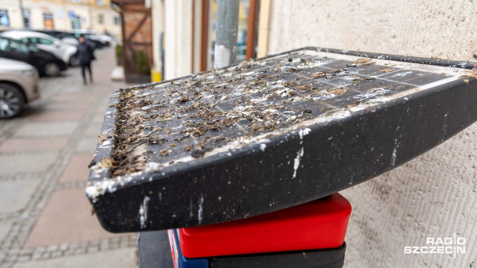 Brudny jak parkomat w Szczecinie [ZDJĘCIA]