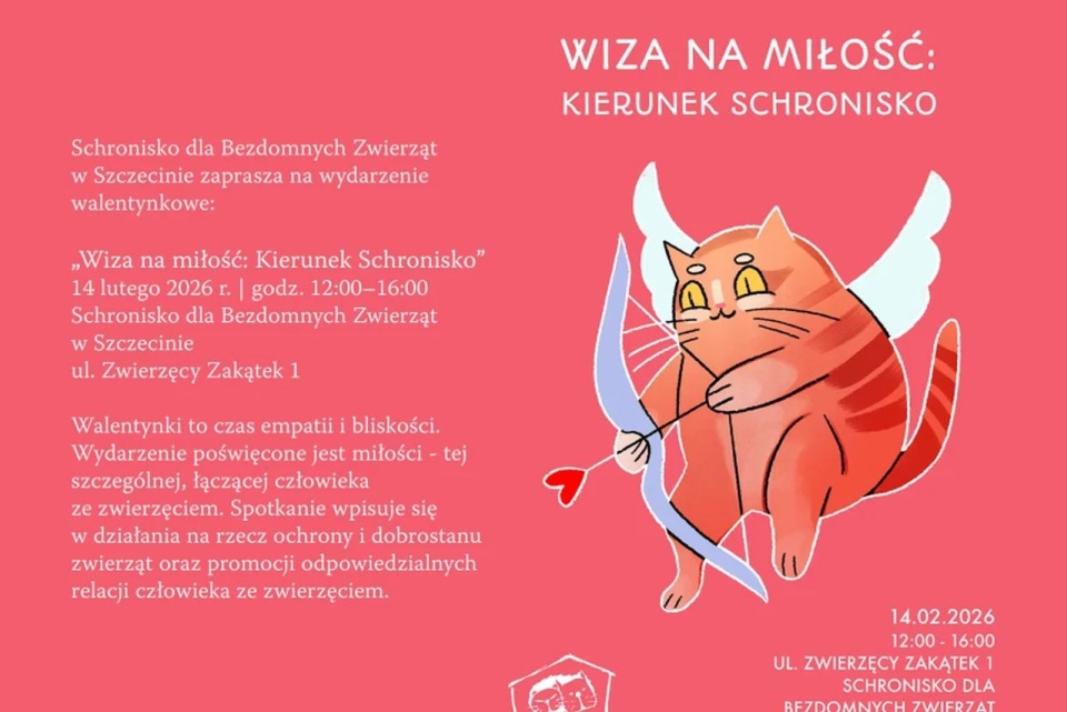 źródło: wiadomosci.szczecin.eu