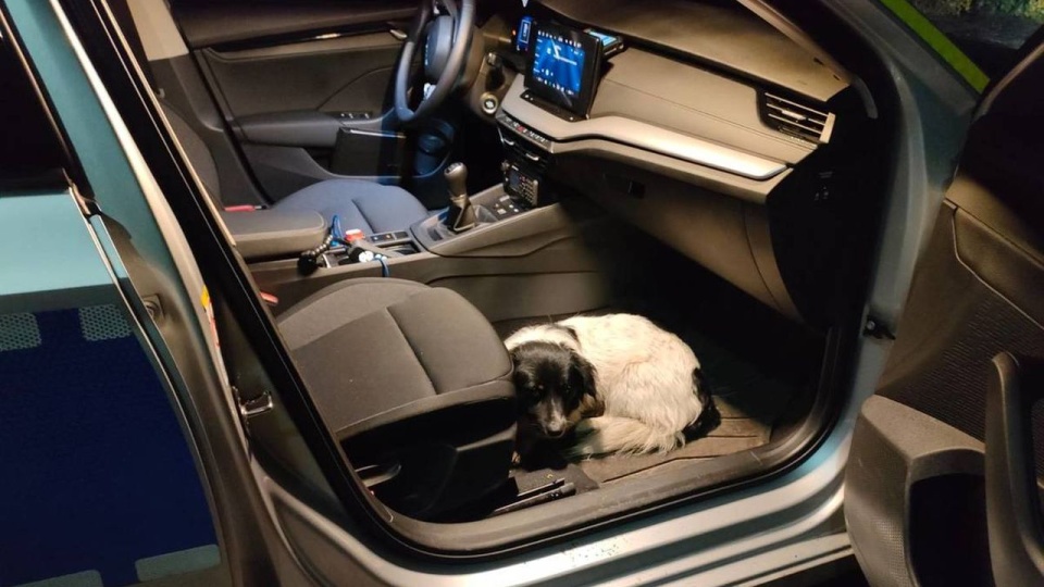 źródło: goleniow.policja.gov.pl