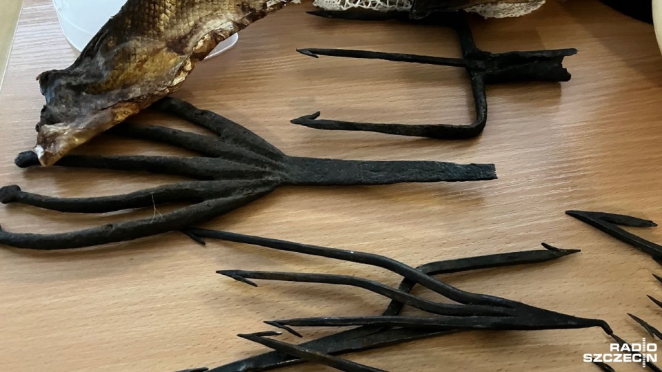 Fot. Joanna Maraszek [Radio Szczecin]