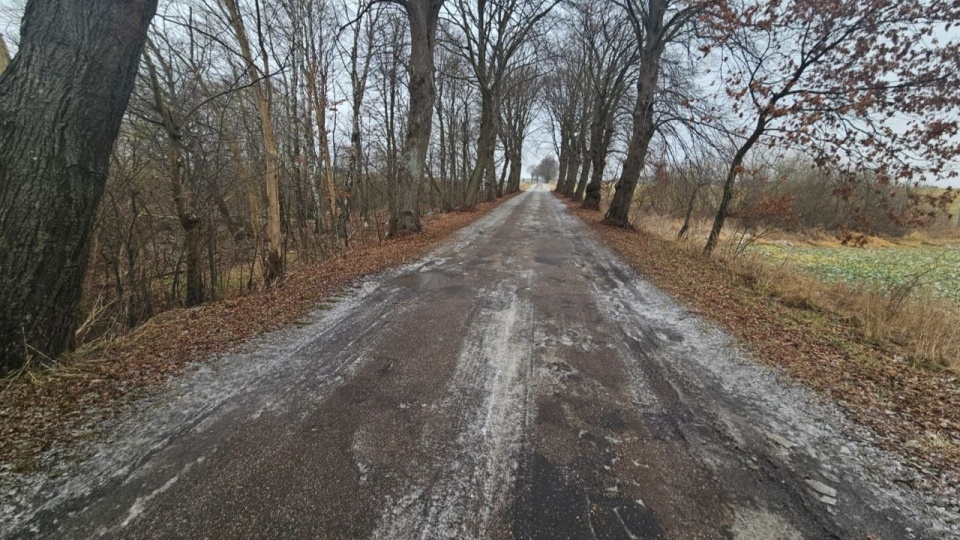 Fot. Przemysław Polanin [Radio Szczecin]