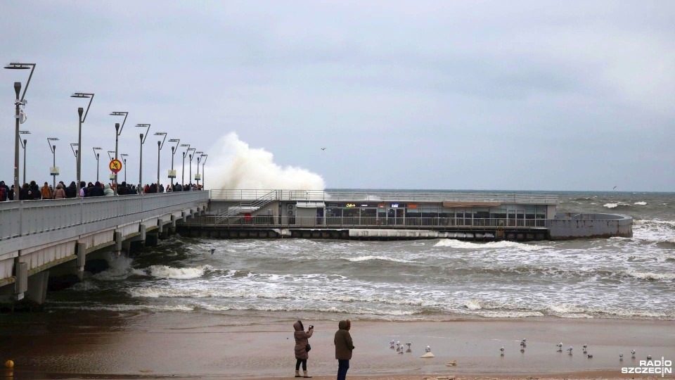 Fot. Przemysław Polanin [Radio Szczecin]