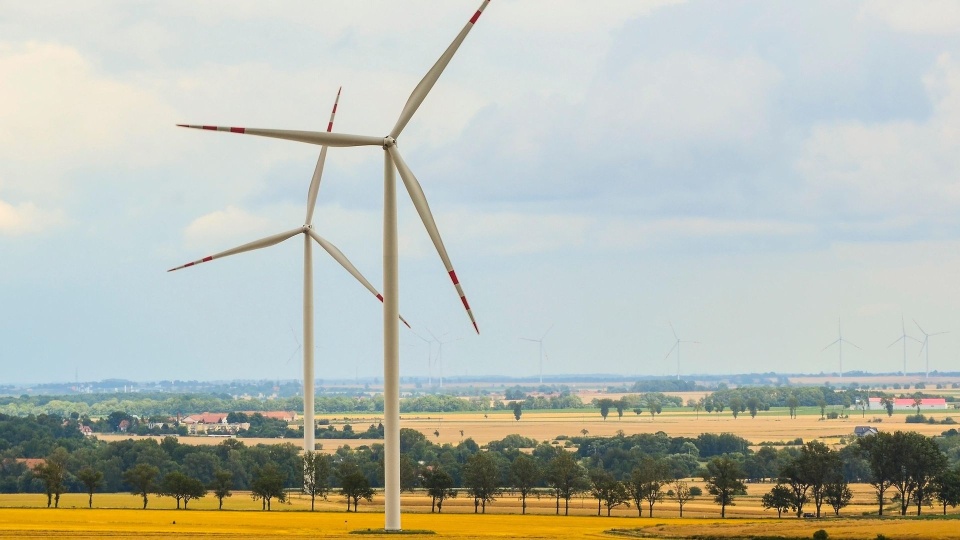 Fot. pixabay.com / aszak (CC0 domena publiczna)