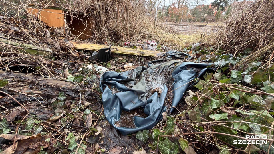 Fot. Robert Stachnik [Radio Szczecin]