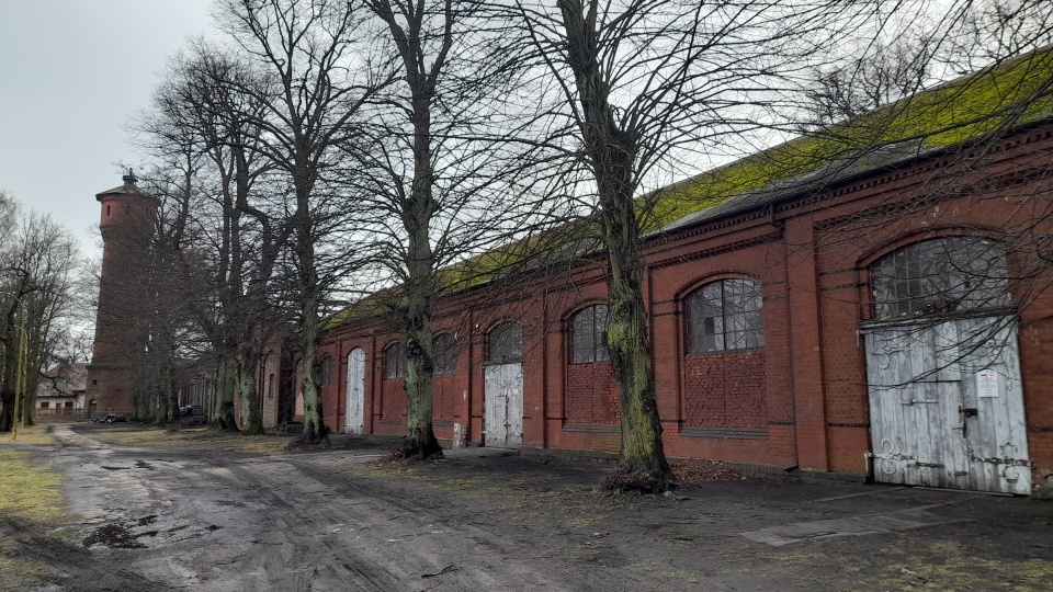 Fot. Joanna Maraszek [Radio Szczecin]