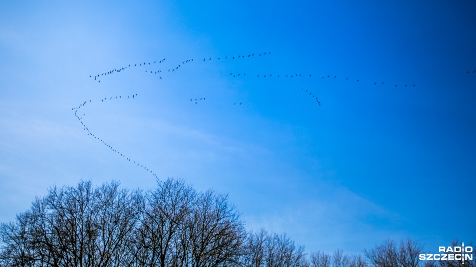 Mieszkańcy dostrzegli klucze na niebie [ZDJĘCIA]
