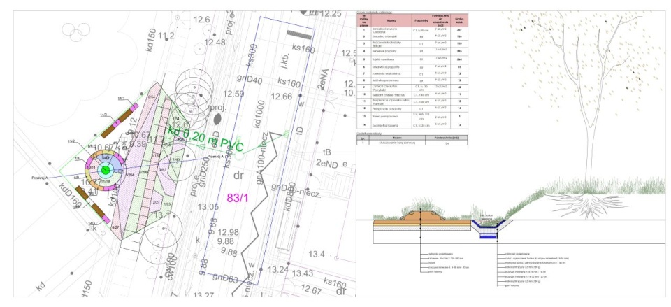 fot. Rzecznik prasowy Miasta Szczecin