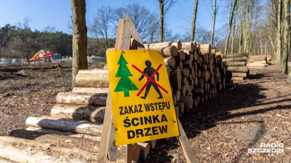 Wycinka drzew w Lesie Arkońskim. Podzielone opinie mieszkańców [ZDJĘCIA]