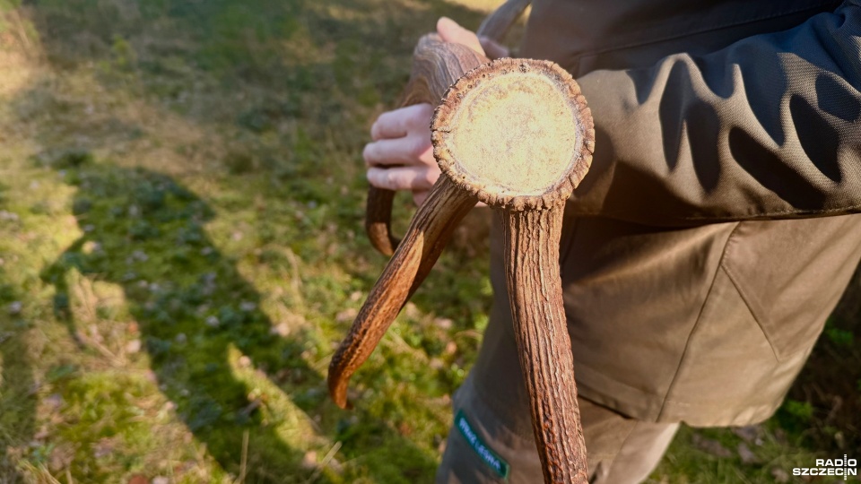 Fot. Weronika Łyczywek [Radio Szczecin]