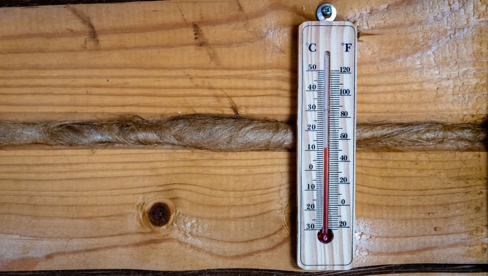 Fot. Pixabay/Alexei_other