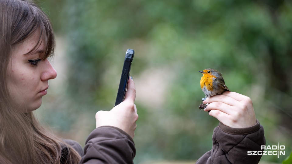 Fot. Robert Stachnik [Radio Szczecin]