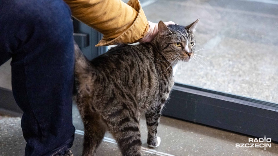 Fot. Robert Stachnik [Radio Szczecin]