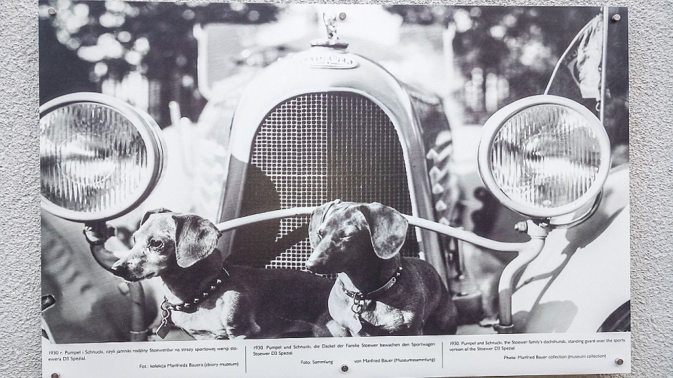 Historia szczecińskiej motoryzacji w "Galerii na murze"