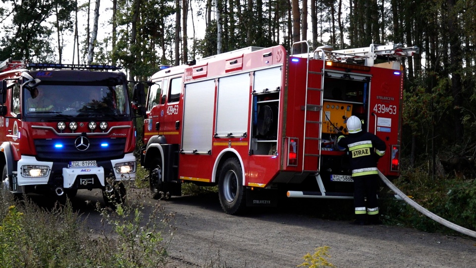 Najwięcej pożarów lasów w Nadleśnictwie Kliniska [WIDEO]