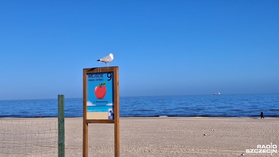 "My o plażowaniu myślimy niemalże cały rok"