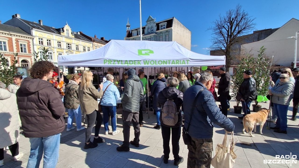 Drzewka dla mieszkańców Świnoujścia