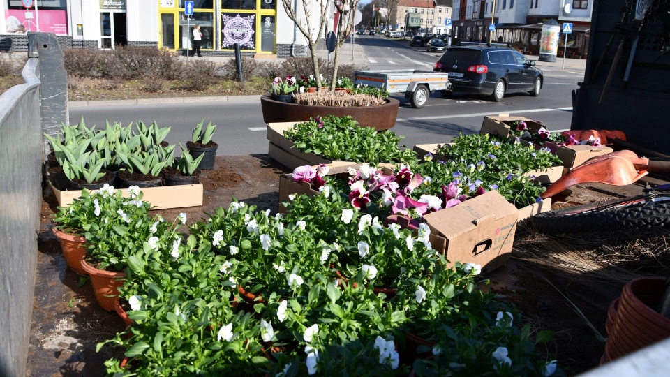Fot. Urząd Miasta Świnoujście