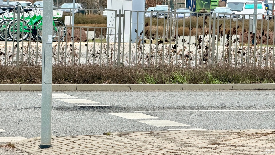 Fot. Weronika Łyczywek [Radio Szczecin]