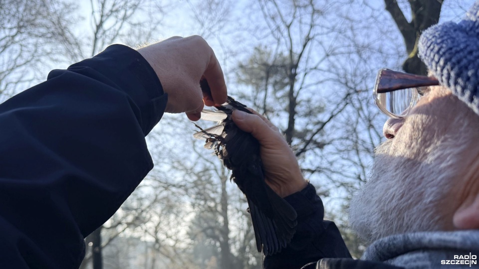 Fot. Weronika Łyczywek [Radio Szczecin]