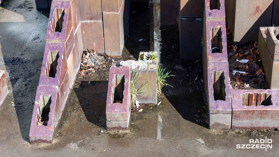 Fot. Robert Stachnik [Radio Szczecin]